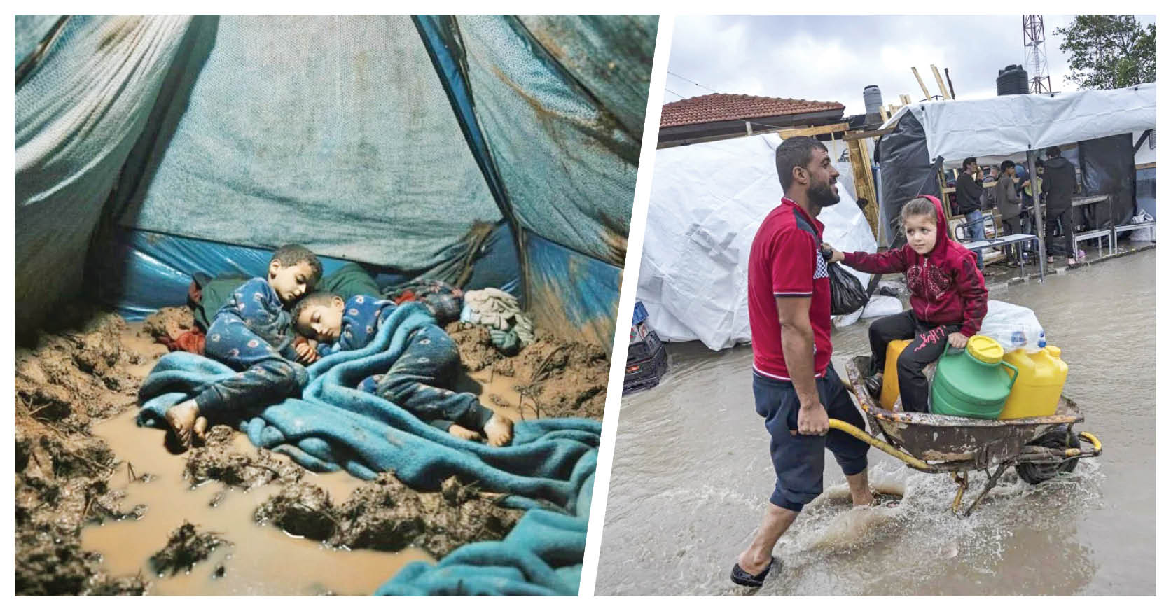 بیداد سرما در غزه