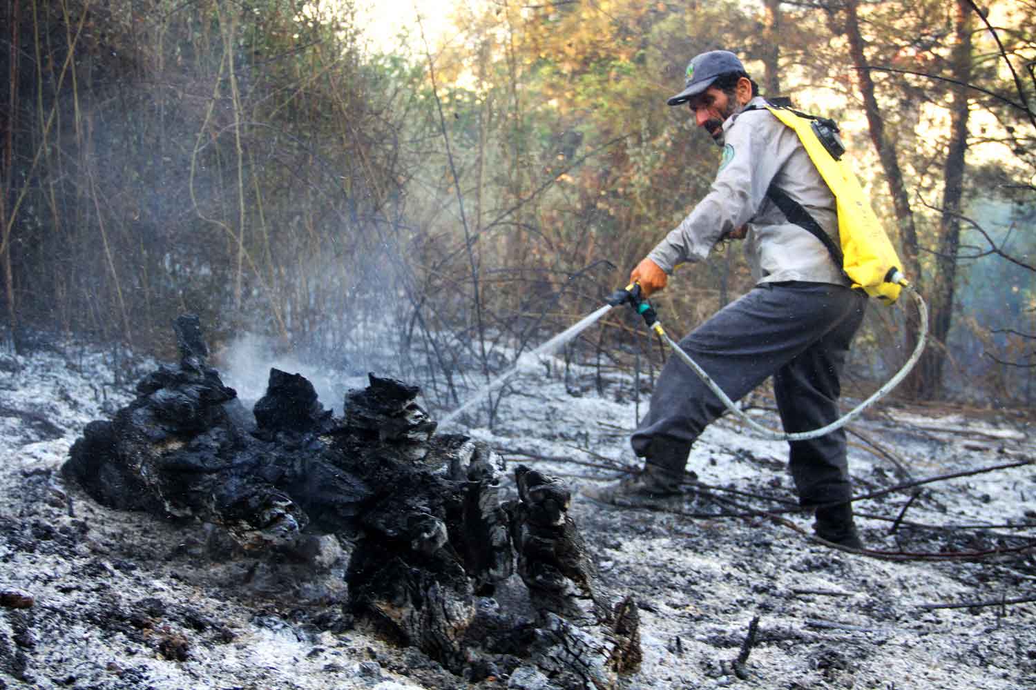 مهار آتش جنگل‌های لرستان با دستان خالی