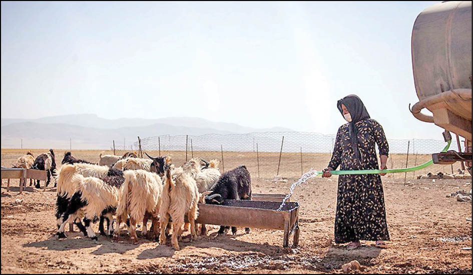 بلای خشکسالی به جان عشایرایلام افتاد
