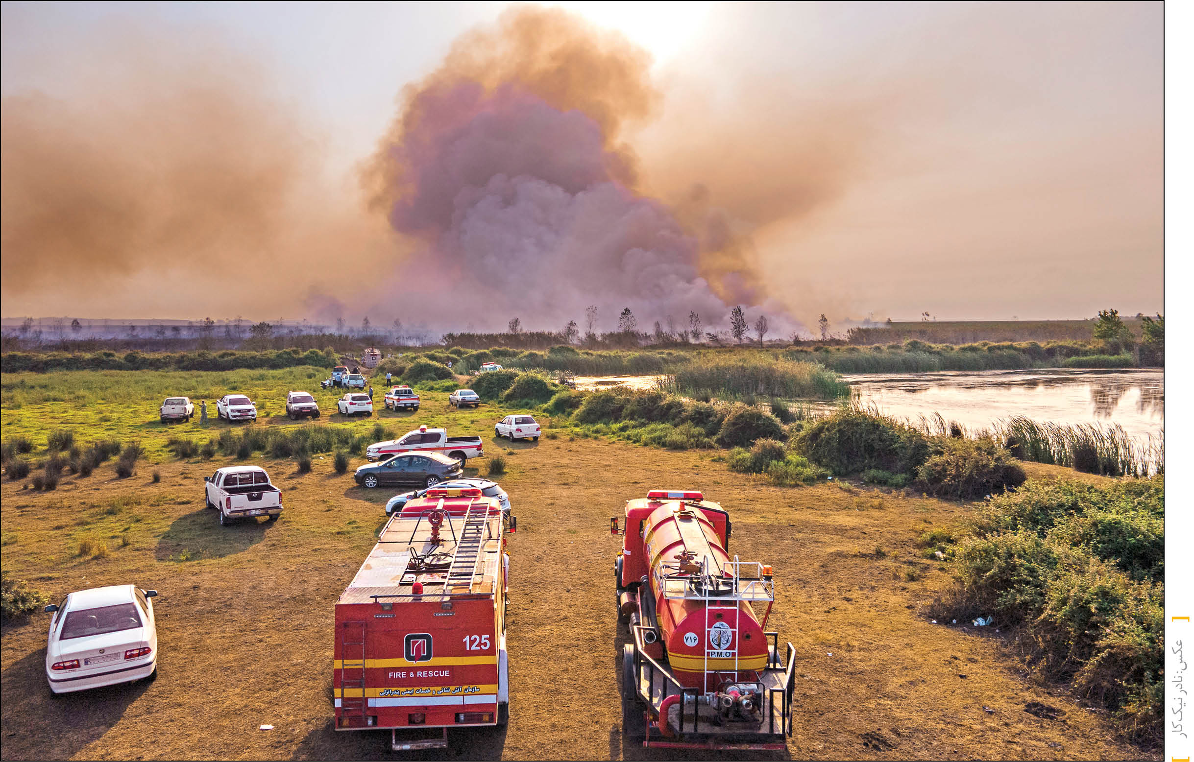 12هکتار از نیزارهای تالاب انزلی سوخت