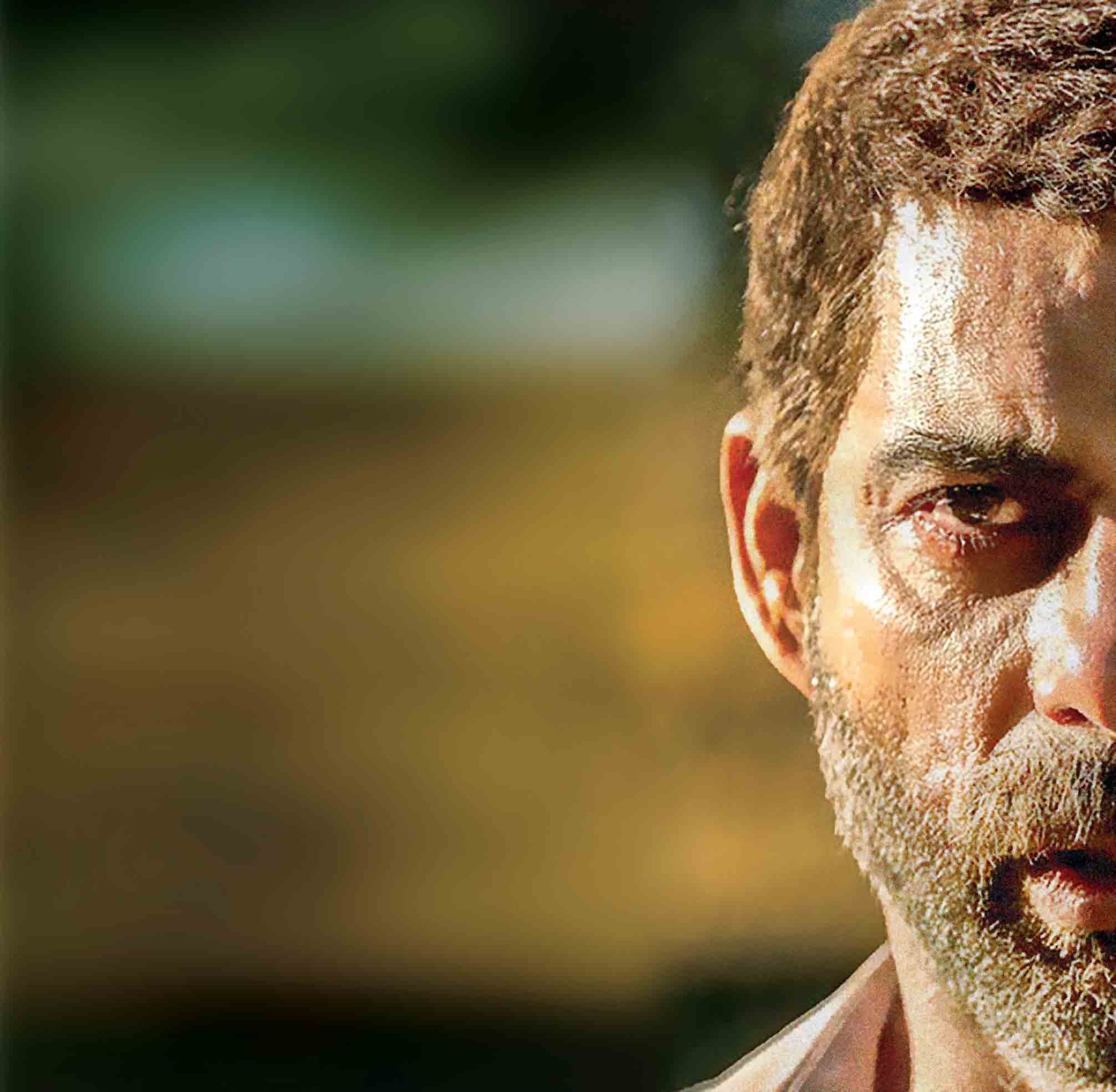 «درخت گردو» تنور سینماها را داغ کرده است