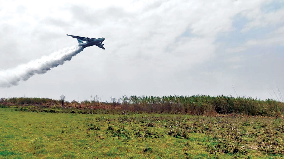 داستان آتش در نیستان انزلی