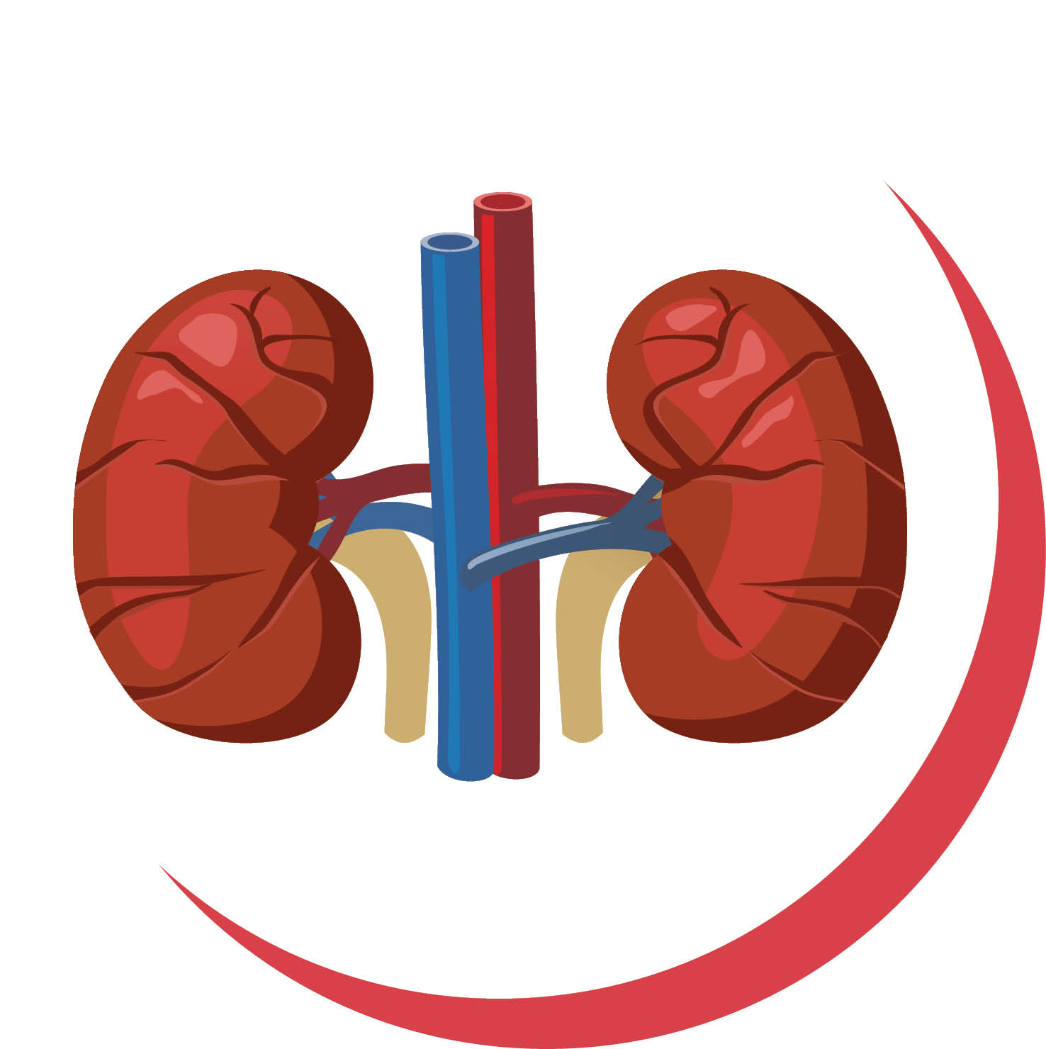 اندام مورد علاقه ویروس کووید-19