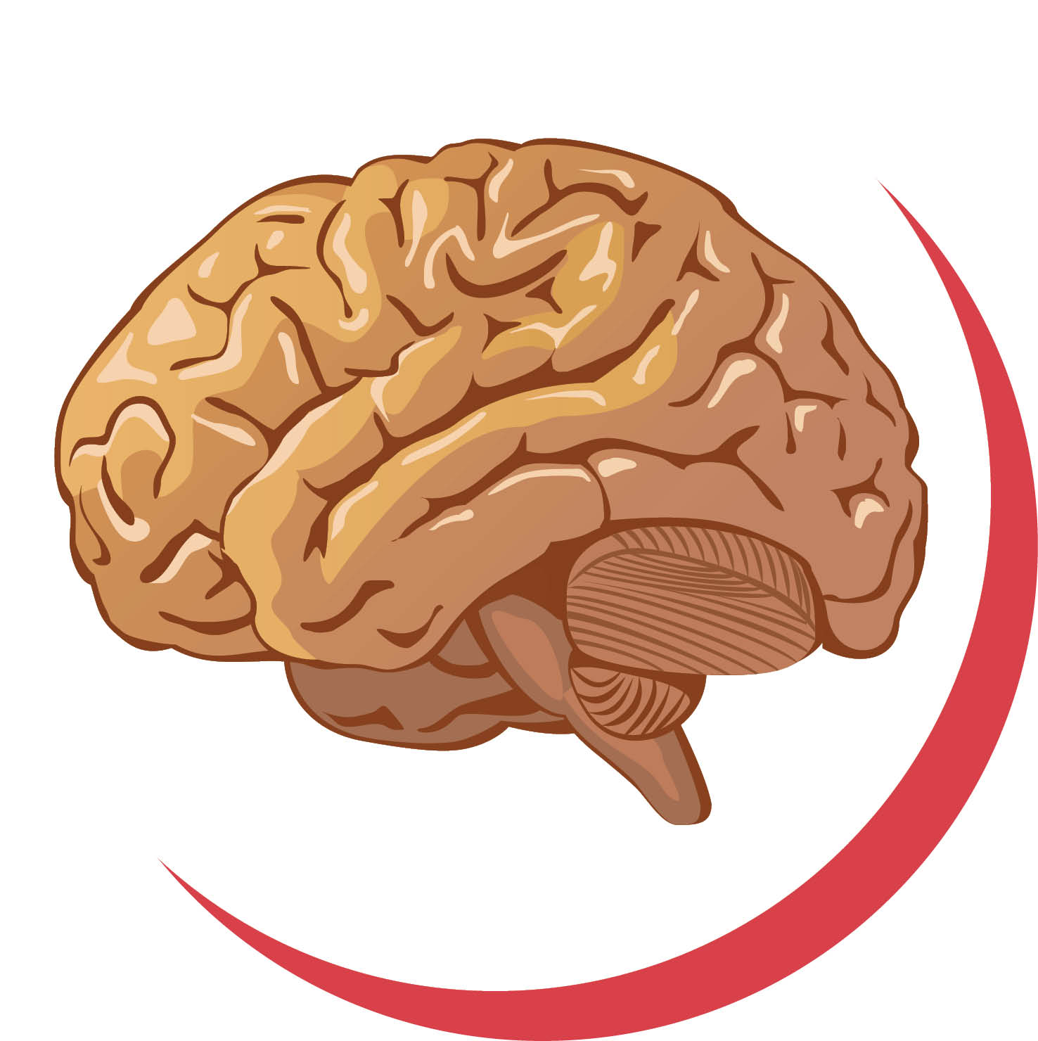 تحلیل مغز یک بیمار مبتلا به کرونا