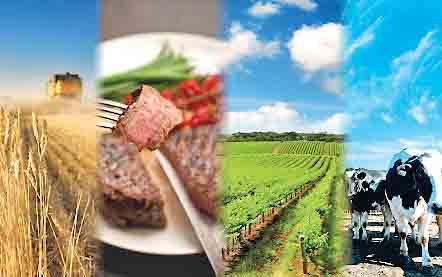 همشهری ریسک تصویب یک قانون بر مبنای گزارش مرکز پژوهش‌های مجلس را بررسی می‌کند