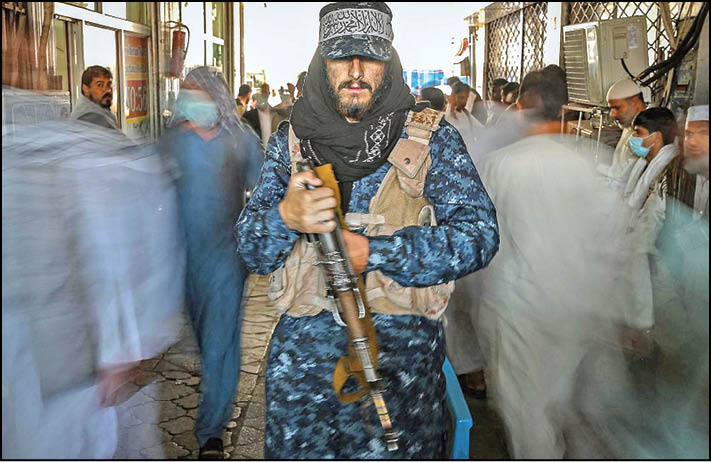 القاعده دوباره در افغانستان پا می‌گیرد؟