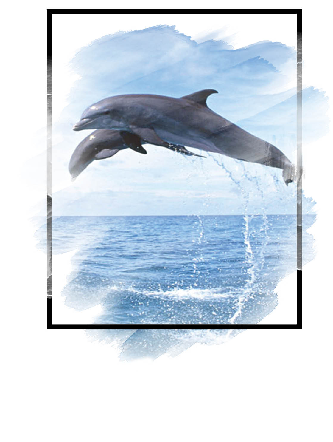 ساحل حمایت، دریای سوءتفاهم