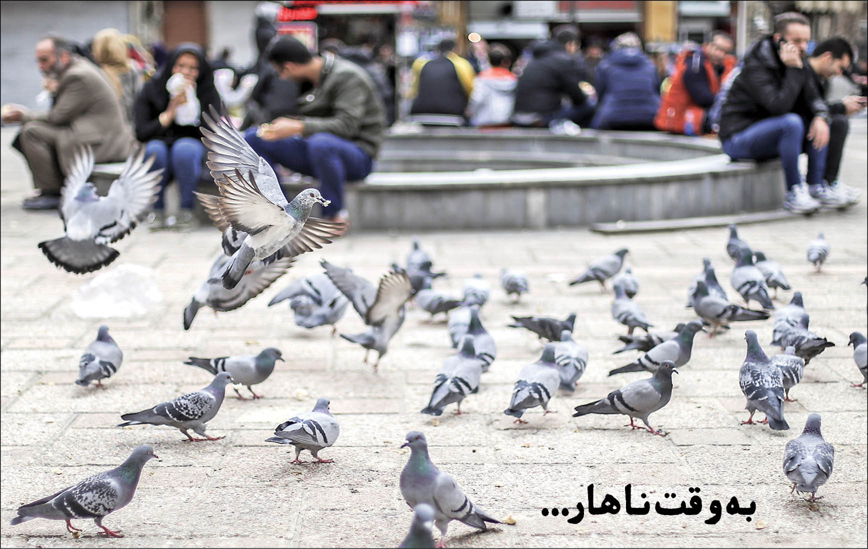 شرح شهر/ به وقت ناهار...