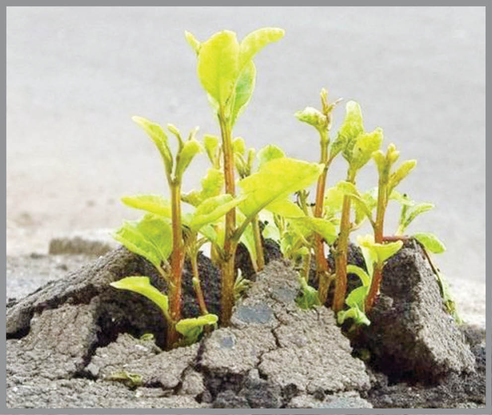 زندگی پدیا/ پنجشنبه باشیم