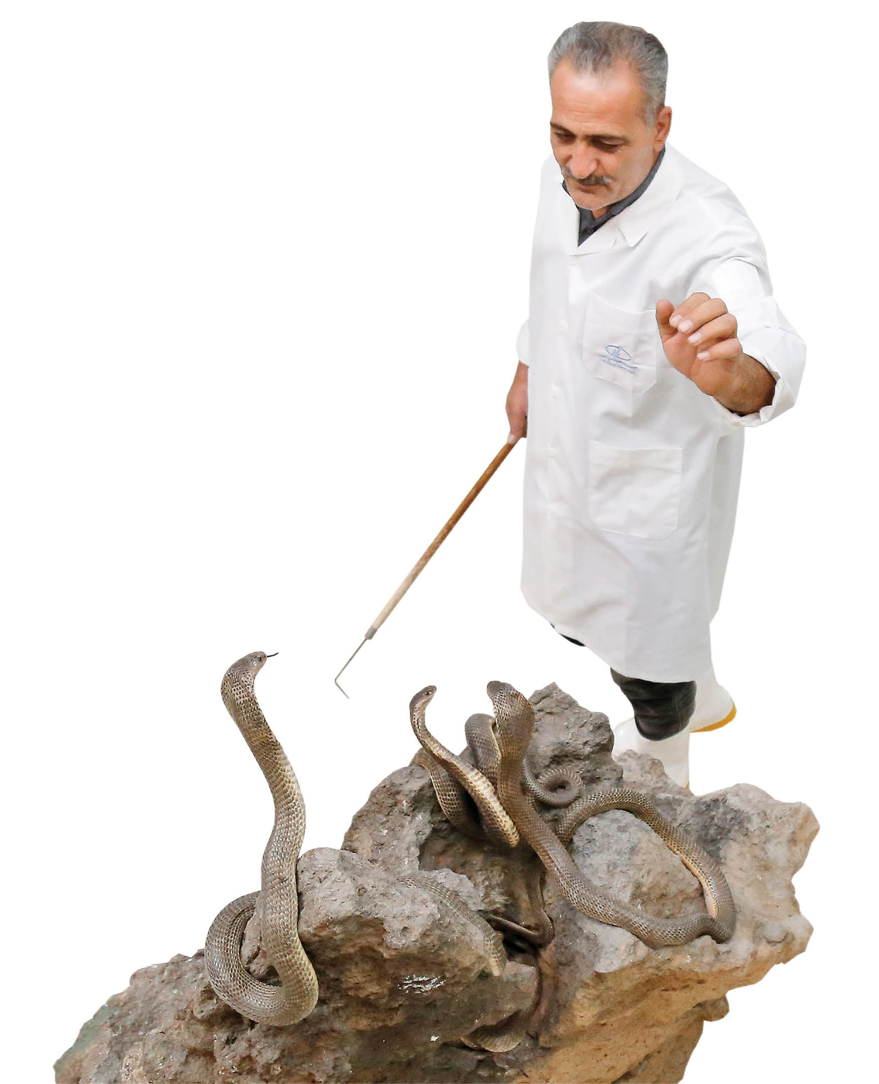 ورود به بخش جانوران سمی مؤسسه رازی که نقطه شروع ساخت انواع پادزهر ایرانی است