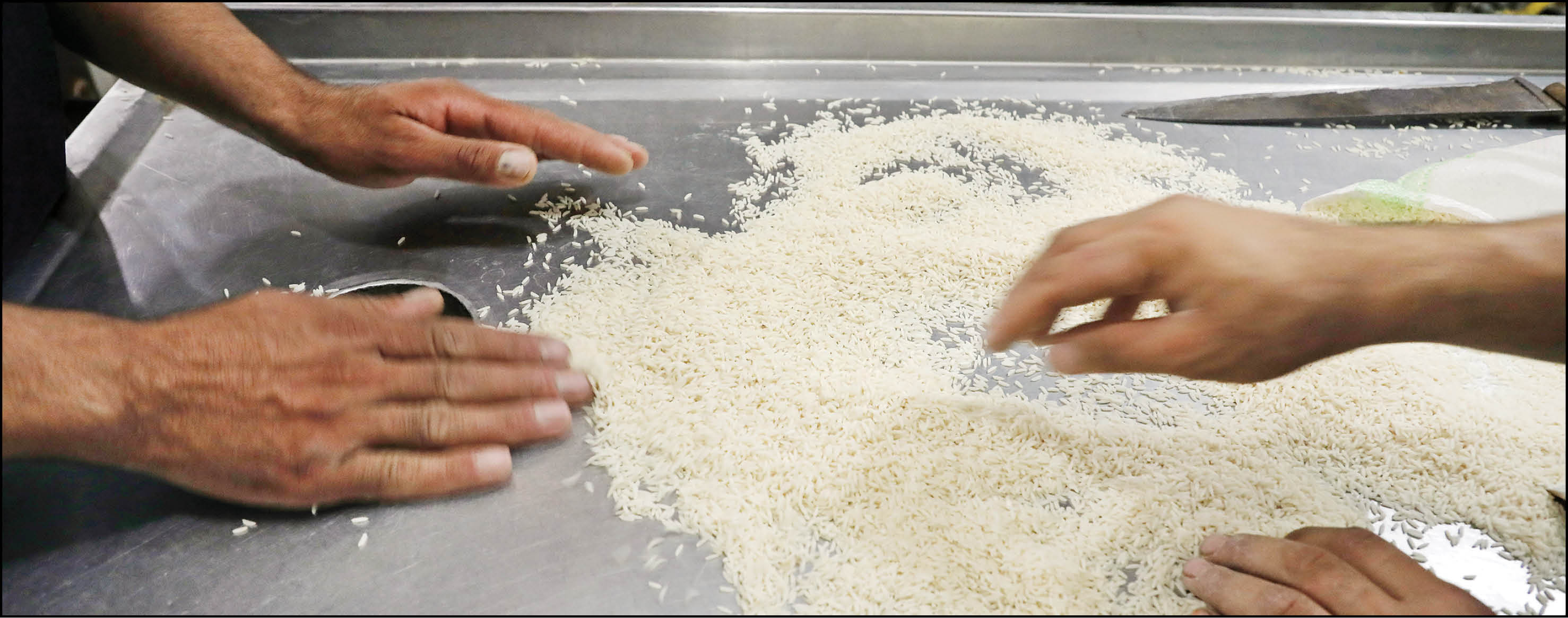 چگونگی خرید برنج از بورس‌کالا