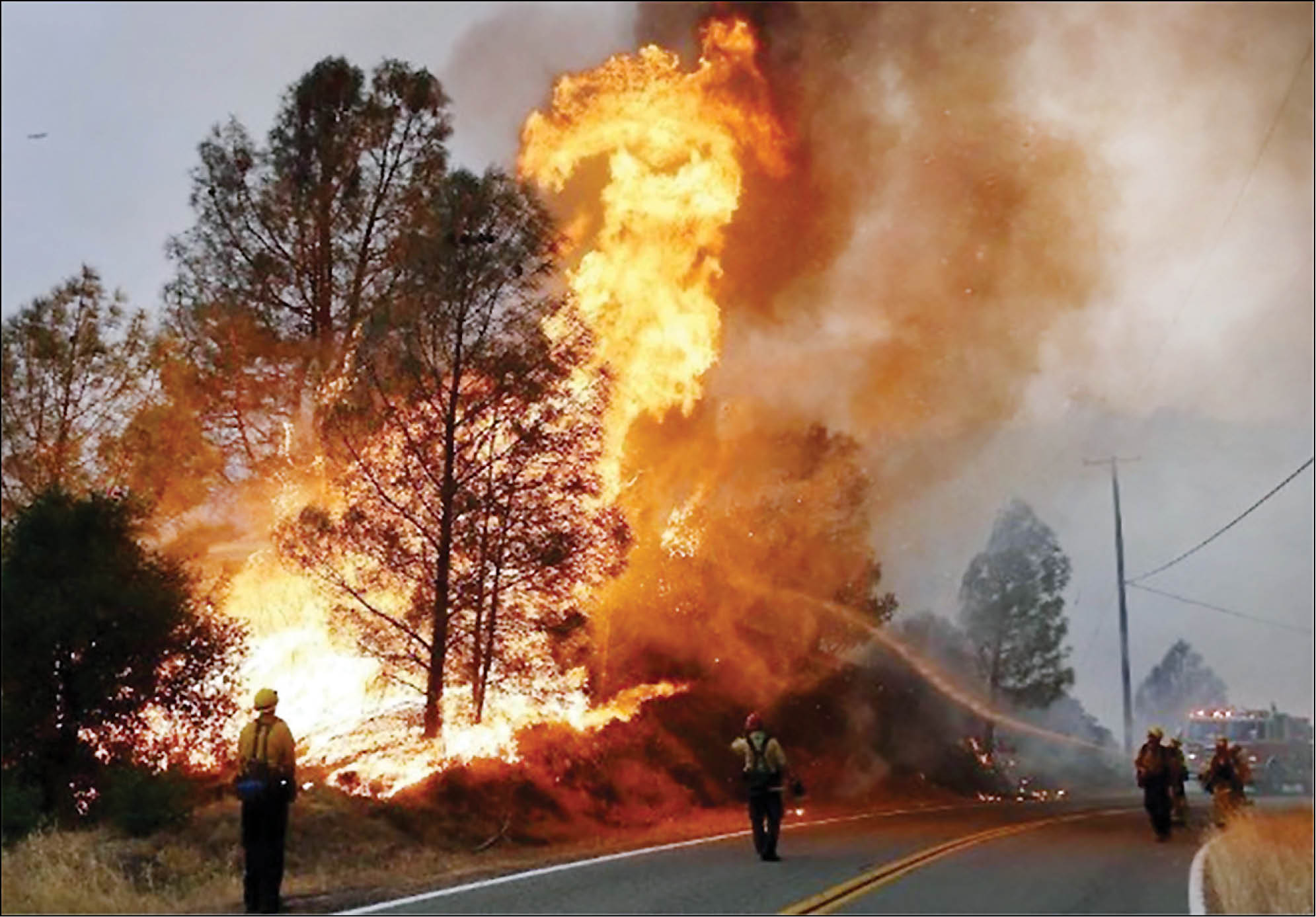 5 هکتار از پارک ملی بوجاق هم سوخت