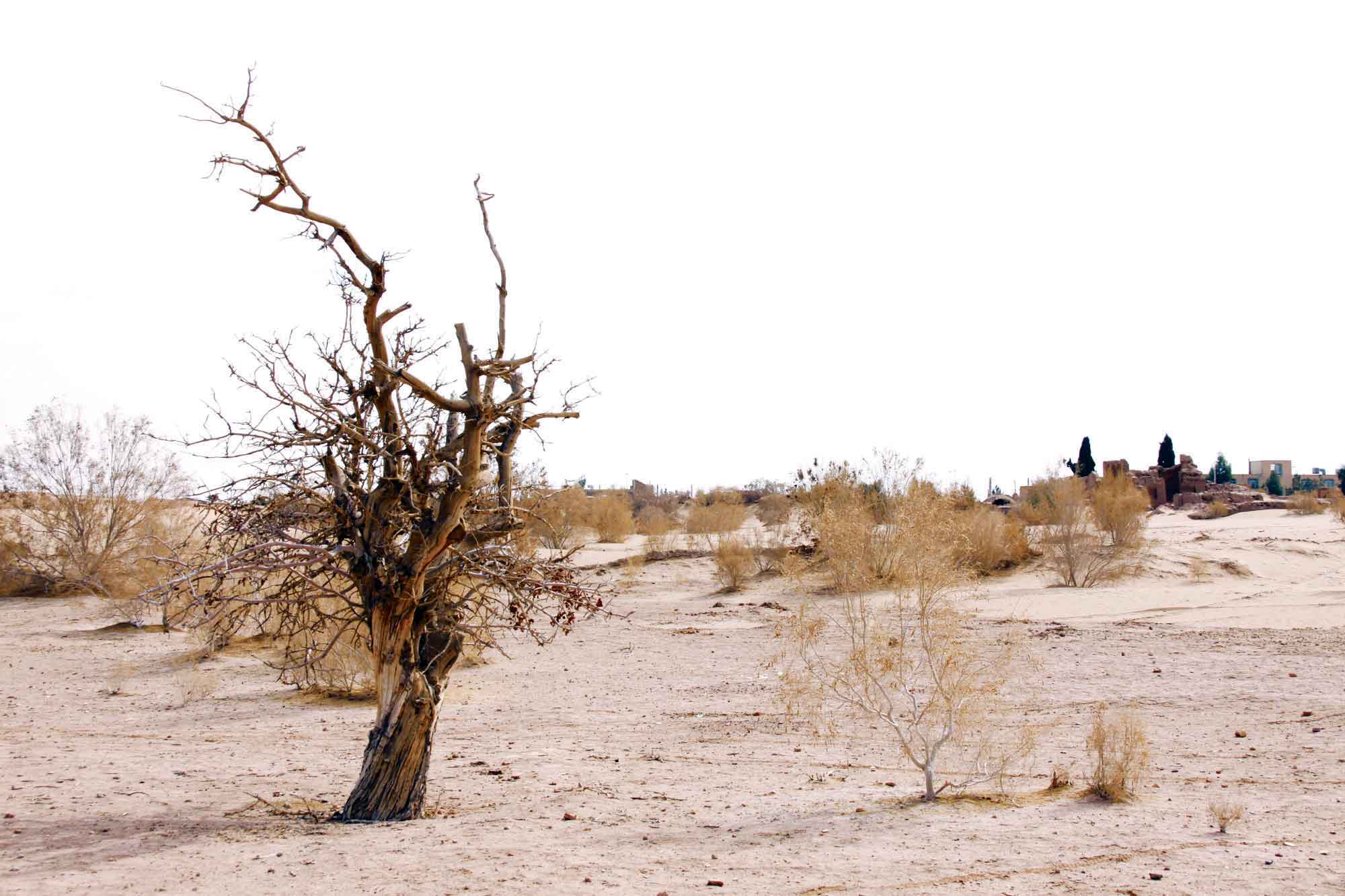 زندگی در قم با طعم خاک