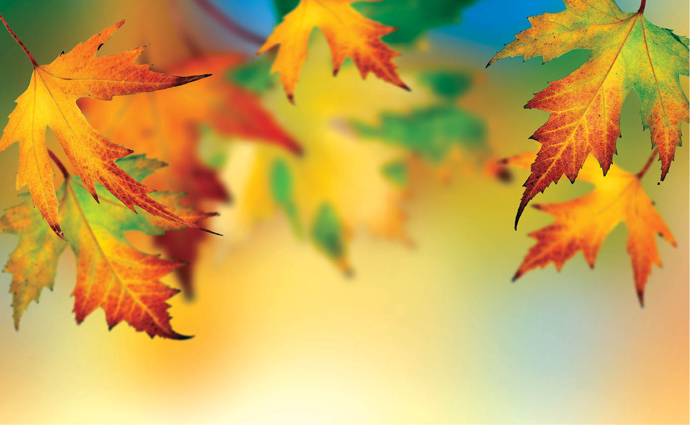 فرهنگ و زندگی/ نوبت رقص رنگ‌ها