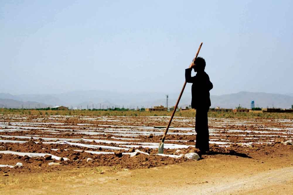 سفره خالی منابع زیرزمینی  در زنجان