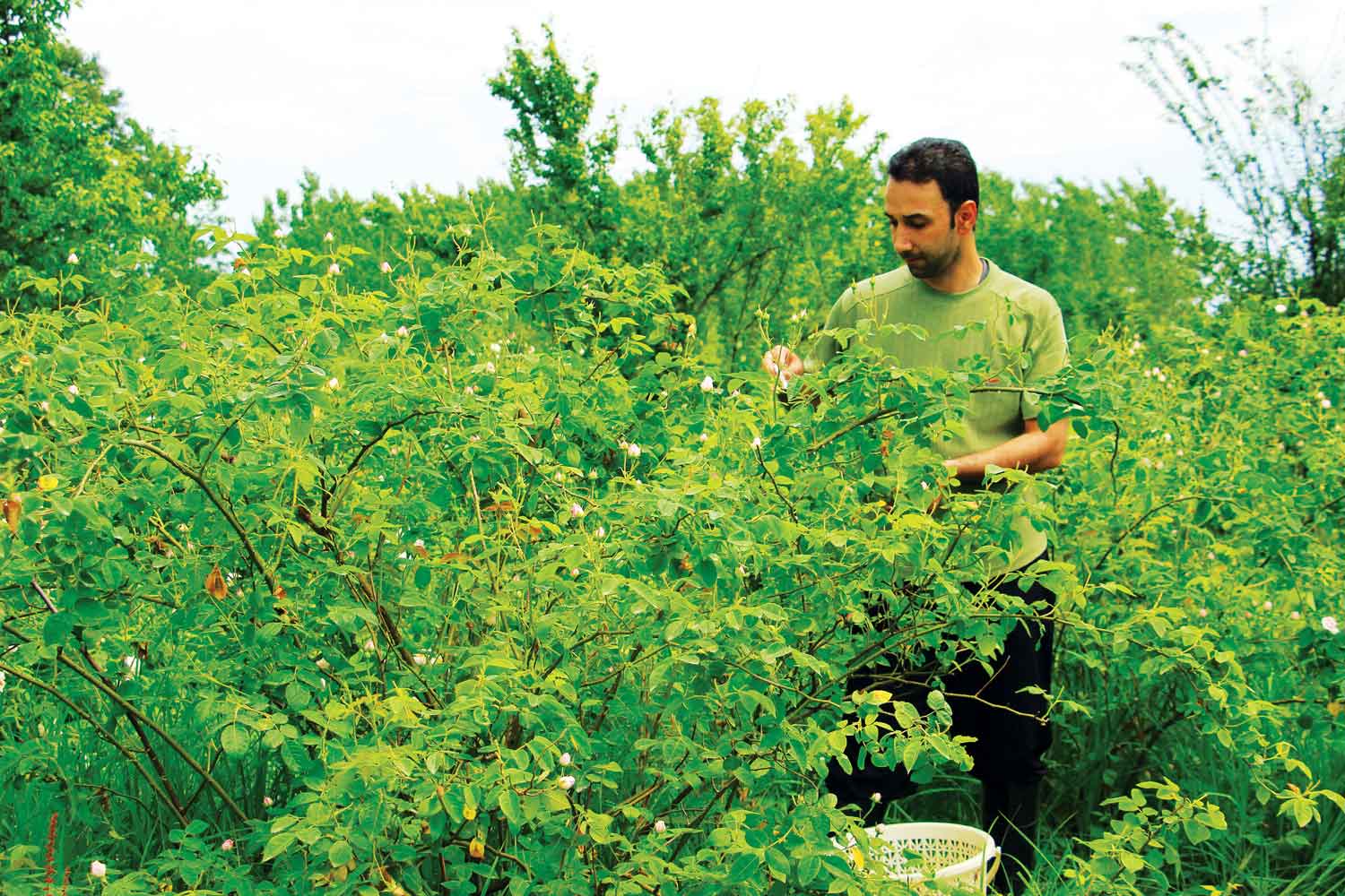 ناکامی طرح اشتغالزایی در روستاهای قم