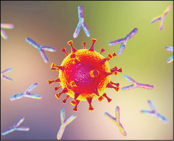 پیروزی واکسن در مسابقه تولید آنتی‌بادی