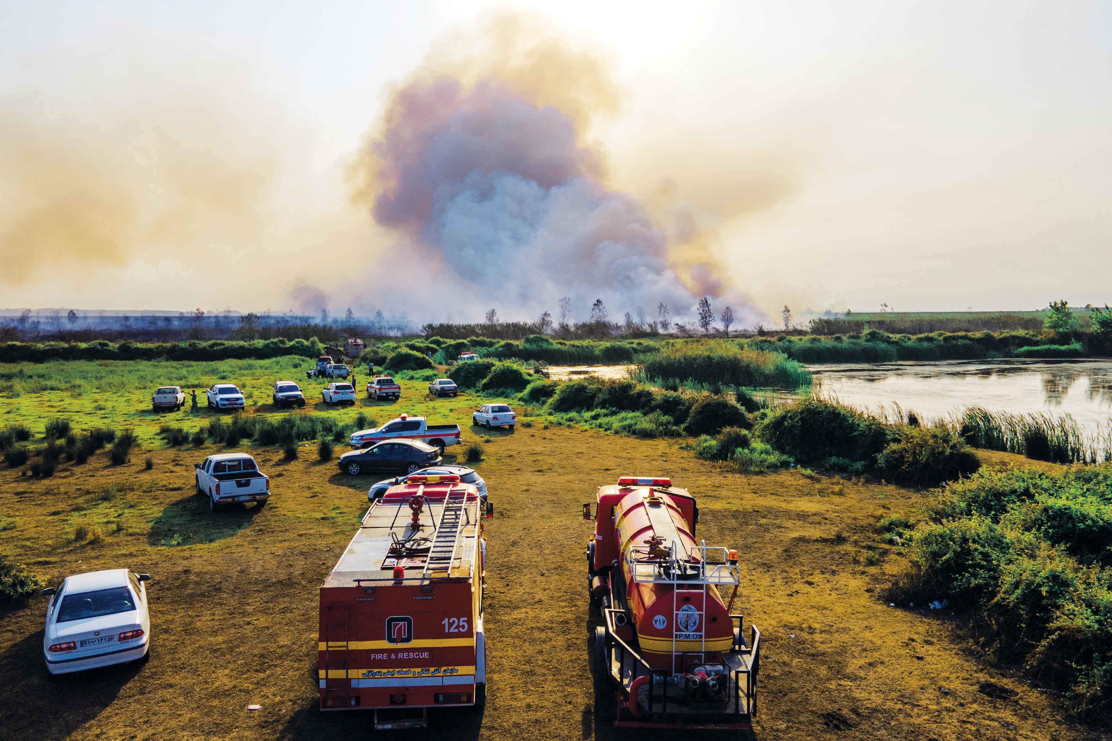 یافته‌های جدید در پرونده آتش‌سوزی تالاب‌انزلی