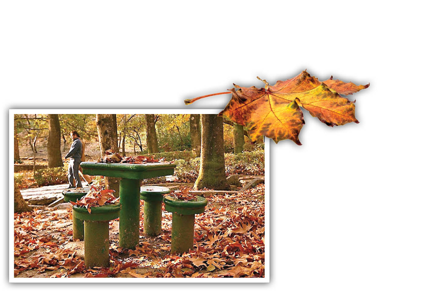 تهران من/ فصل خوب چنارستان