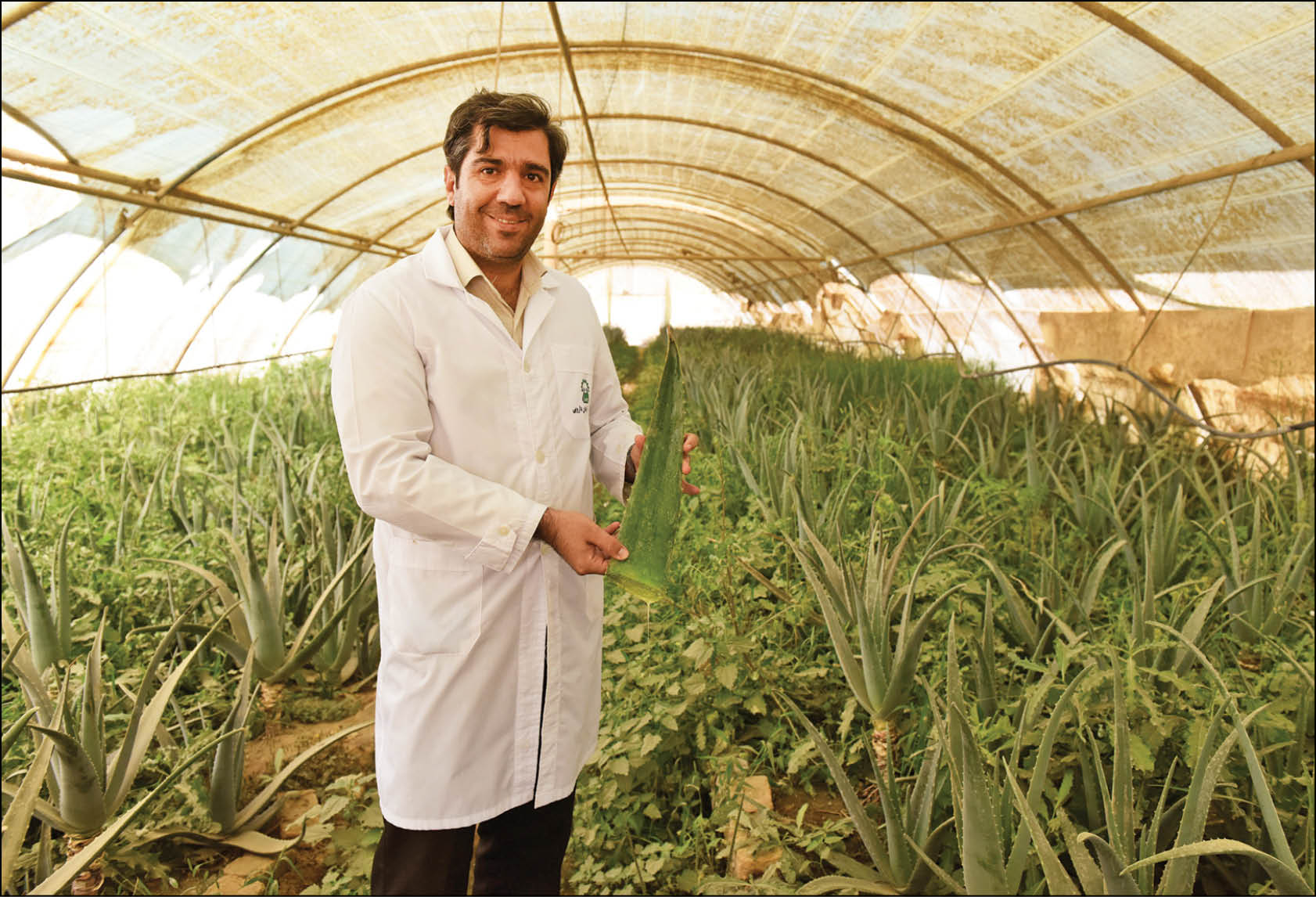 کلکسیون گیاهان دارویی اینجاست