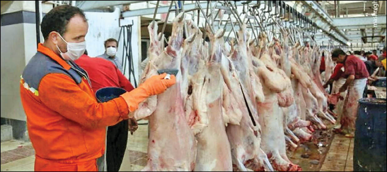 سبقت قیمت گوشت گوساله از گوشت گوسفندی