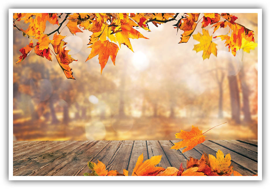 شهر مکتوب/ فقط کمی روشن