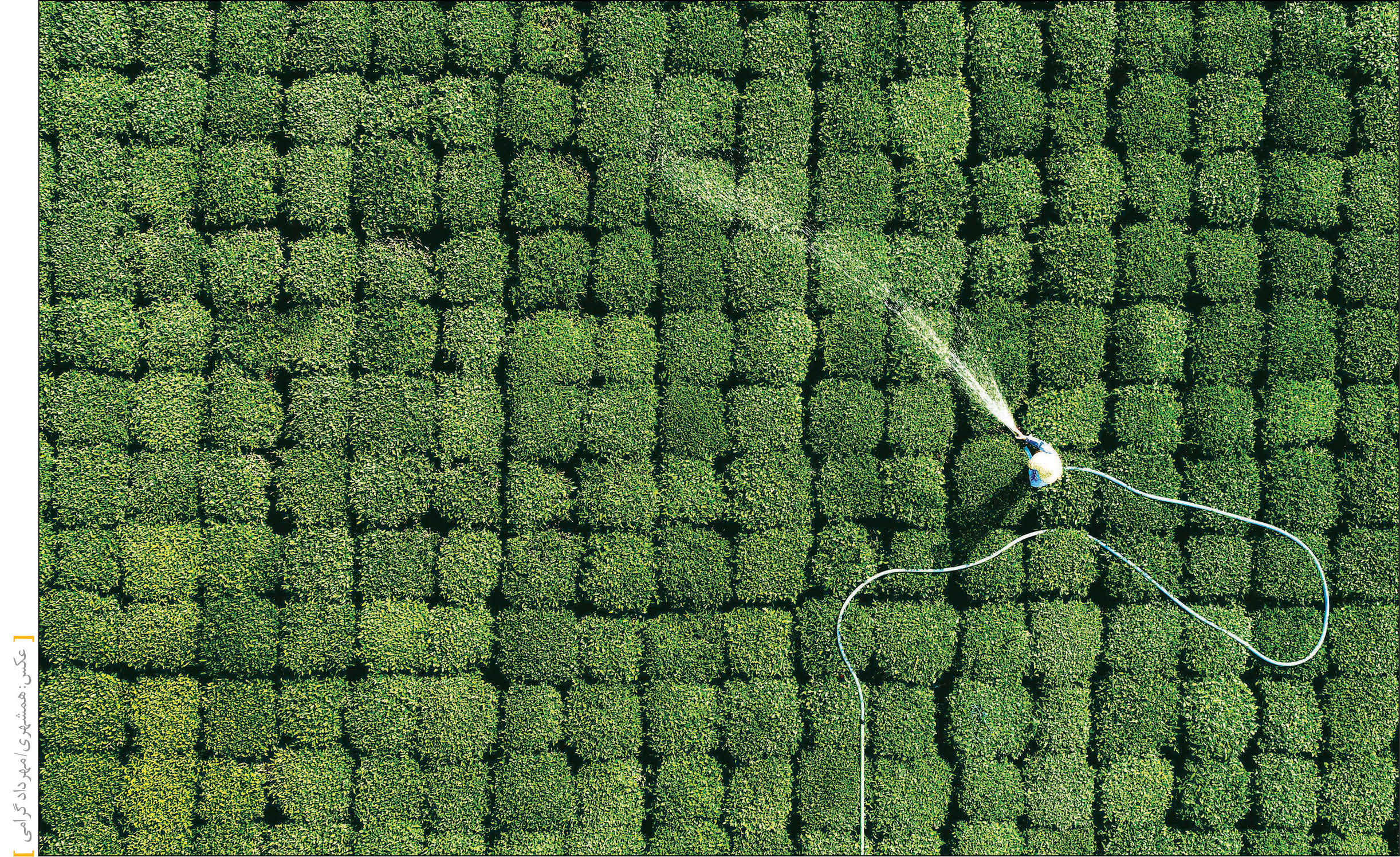 شهر‌چای در مسیر ثبت جهانی