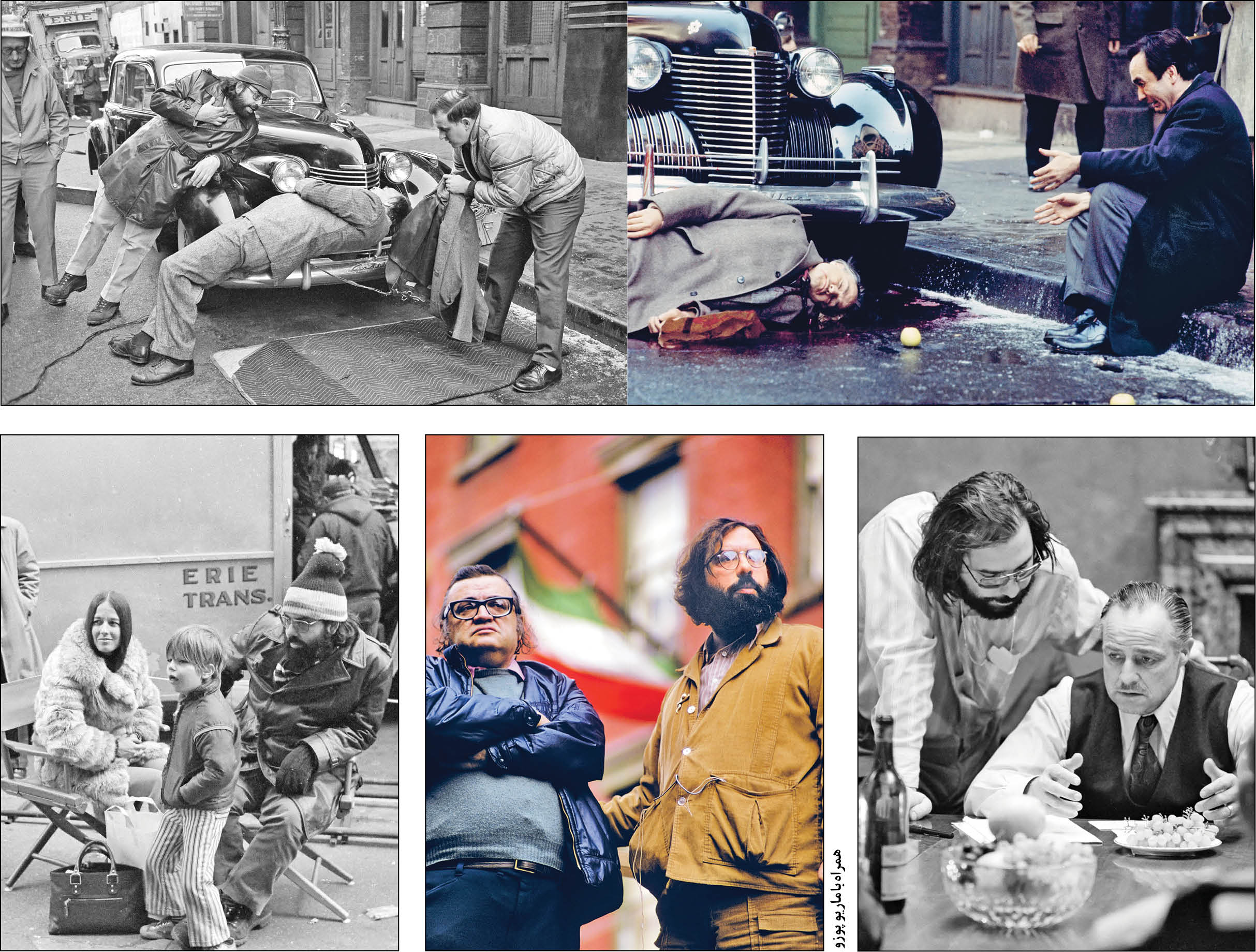 از پوزو بسیار آموختم