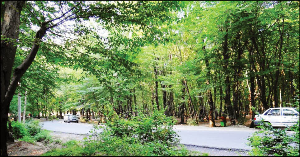 تله‌کابین ناهارخوران در کشاکش لغو و اجرا