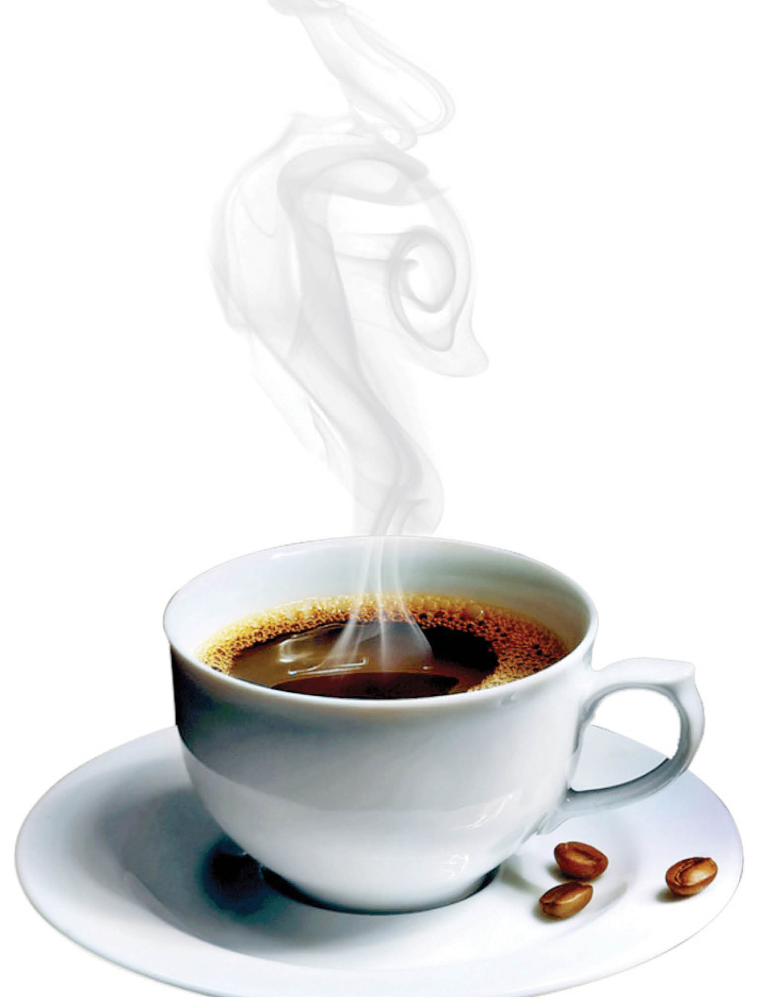 شعر و ادبیات و دیگر هیچ