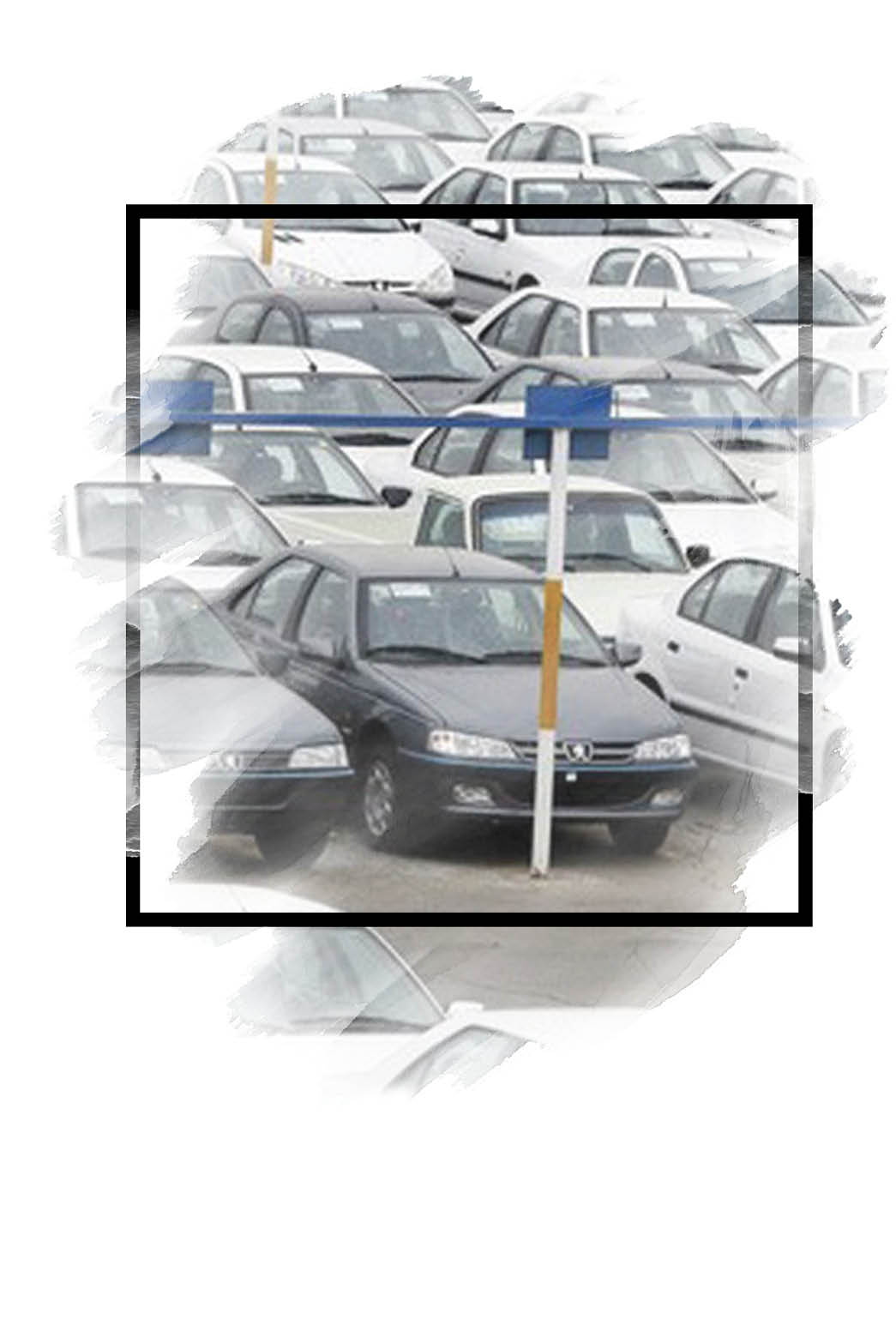 افتخار ملی را بی‌اعتبار نکنید