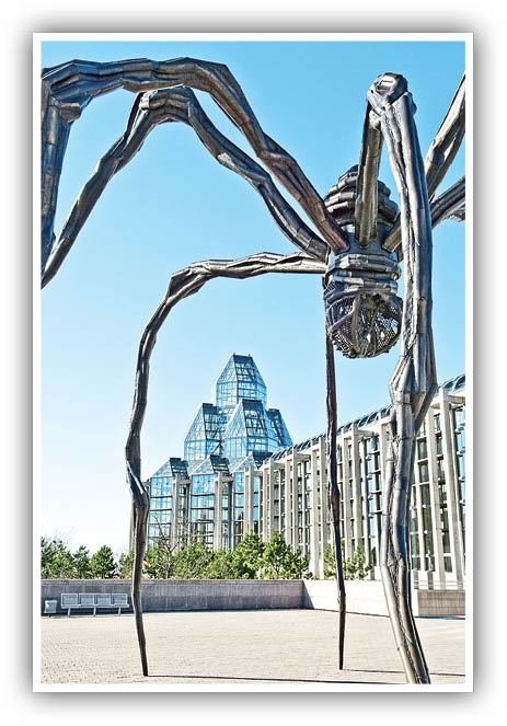 بر و برگ/ عنکبوتی به نام مامان!