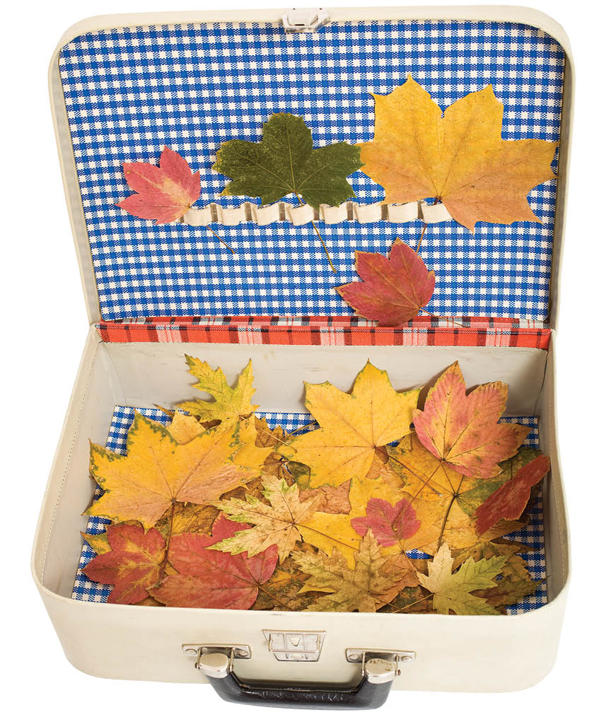 زندگی پدیا/ چمدان خالی از آرامش آبان