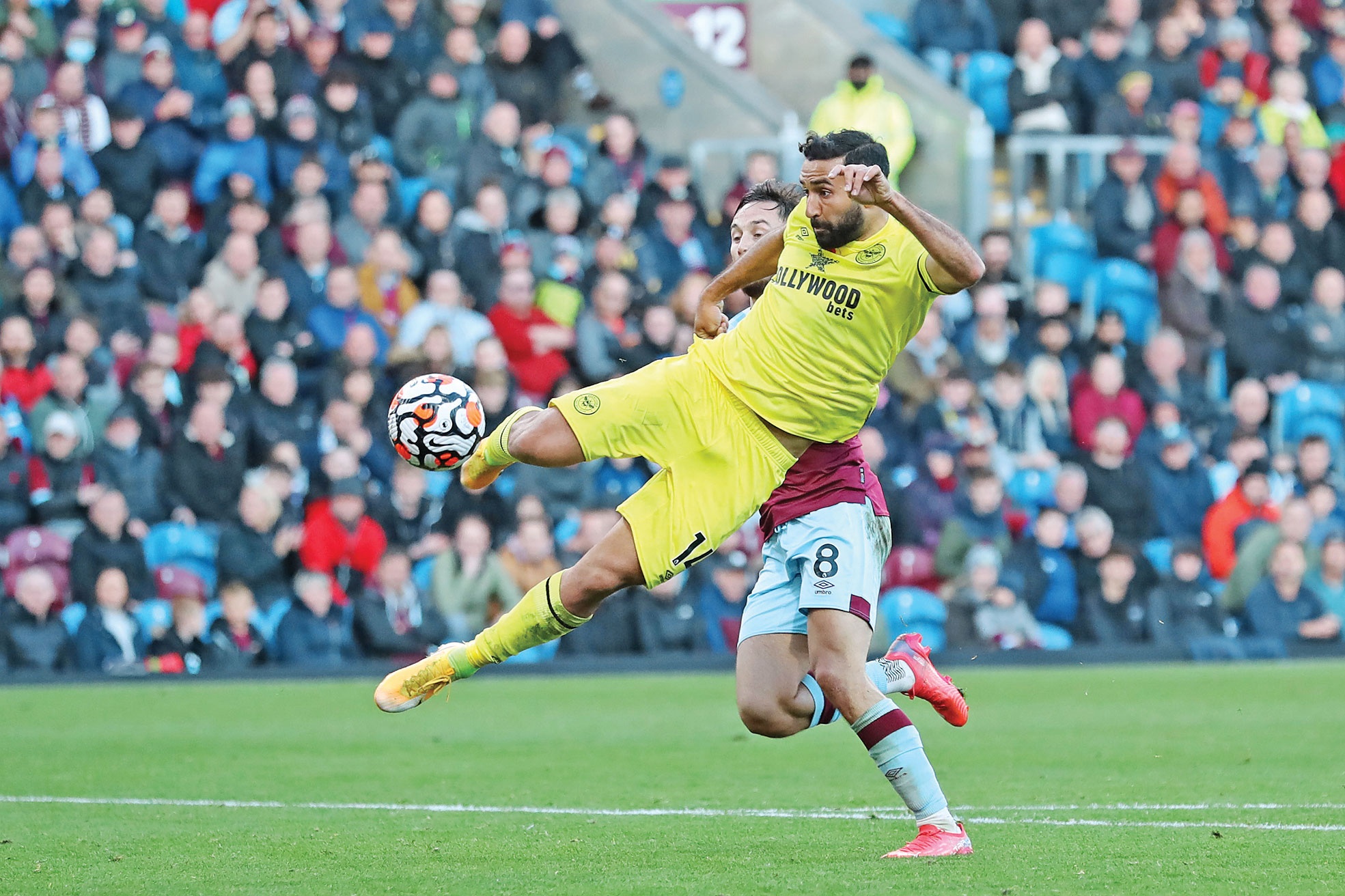 من، سامان، مایه عذاب اسکوچیچ هستم!