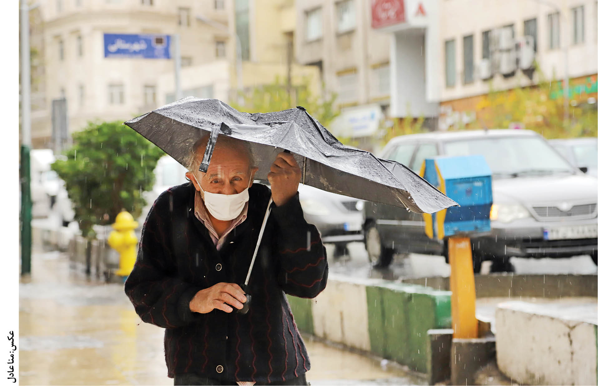 پیر، دلگیر و تسلیم تقدیر...