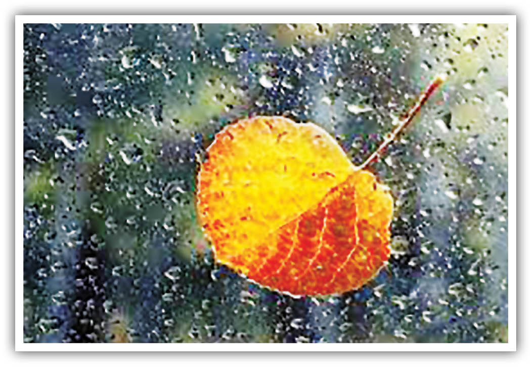 مان/ … با ترانه