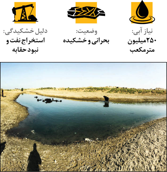 پهنه آبی در اغما