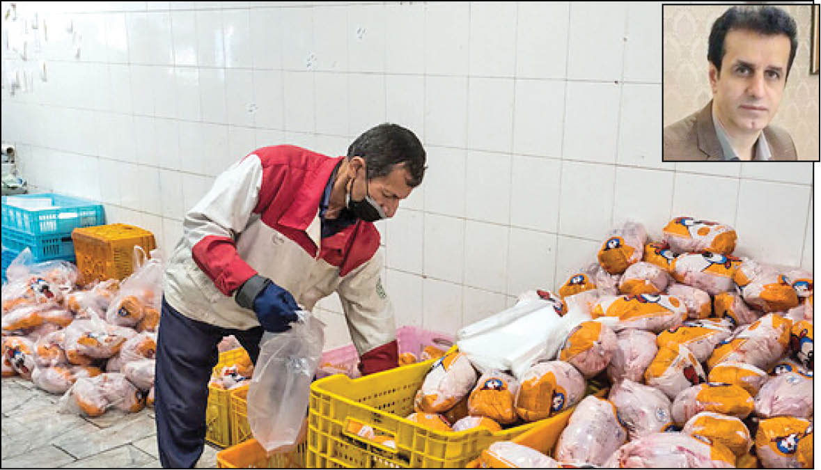 مردم اقبالی به خرید مرغ منجمد ندارند