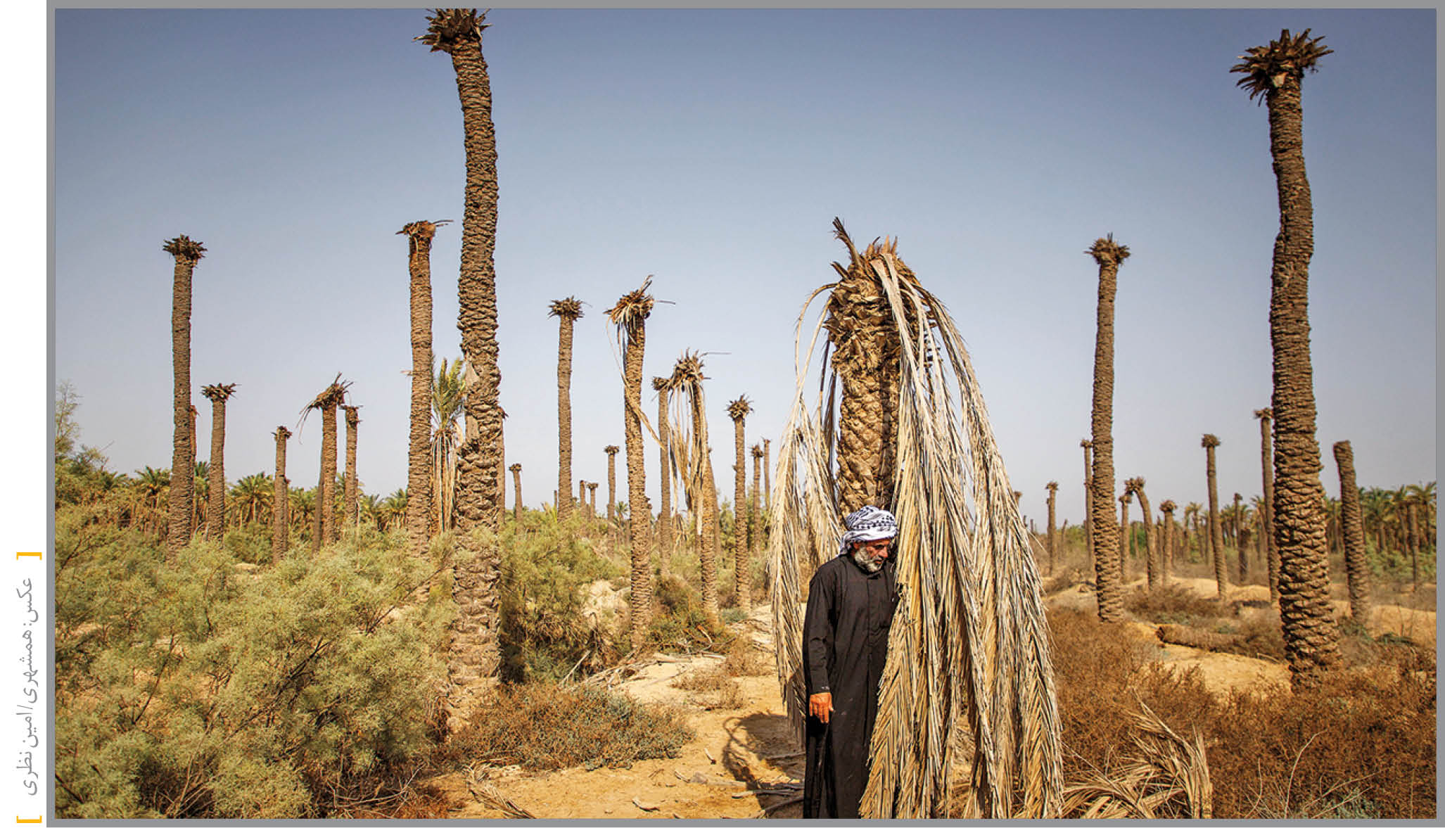 معاون سازمان حفاظت محیط‌زیست: باید در گلاسگو اعلام کنیم به جامعه جهانی بی‌اعتمادیم