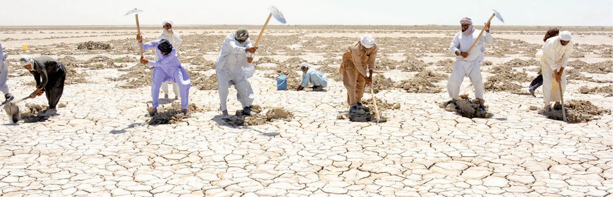 بیابان هر روز به ما نزدیک‌تر می‌شود