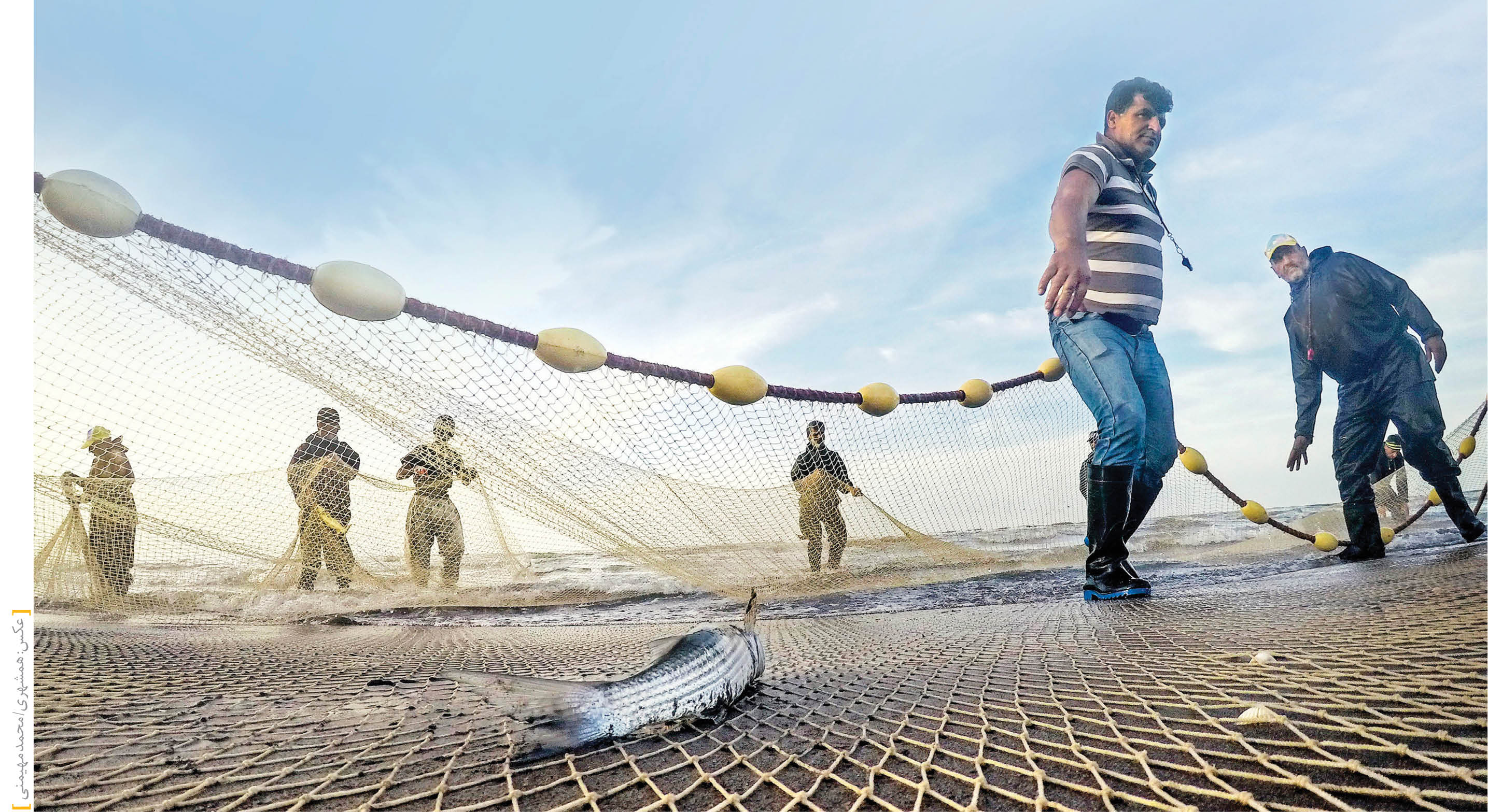 دست خالی صیادان از صید پاییزه