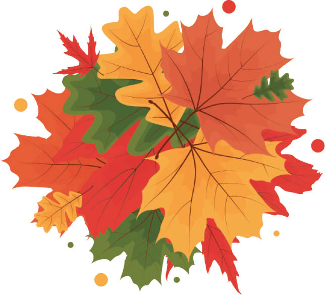 چرا پی‌دی اف دوچرخه مهم است؟