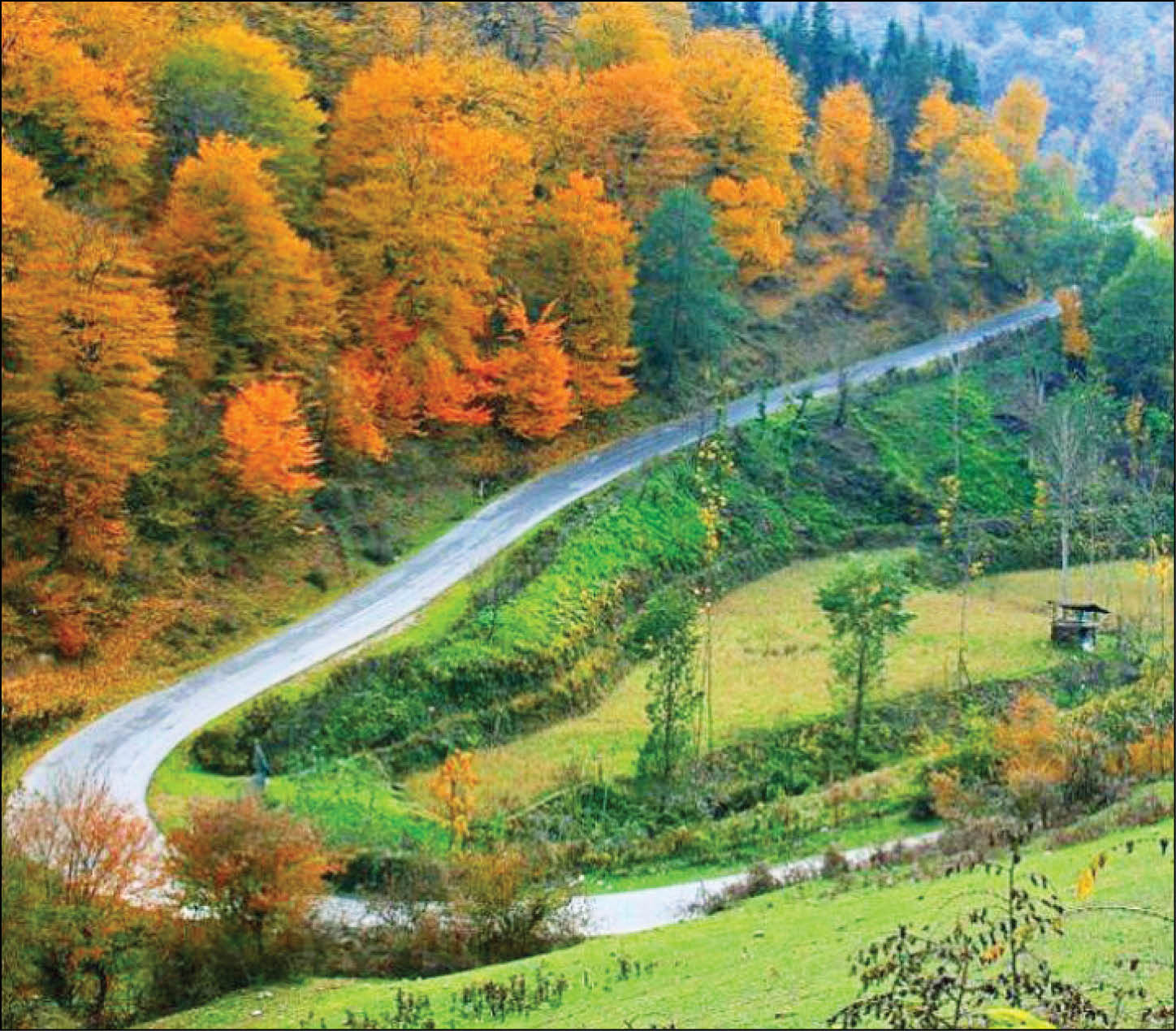 سفر به ملکوت رنگ‌ها