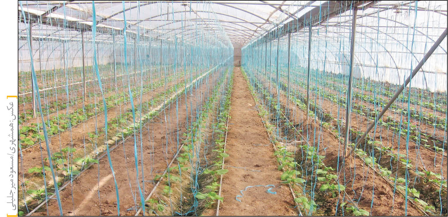 گلخانه‌ها ؛ پناهگاه کشاورزان