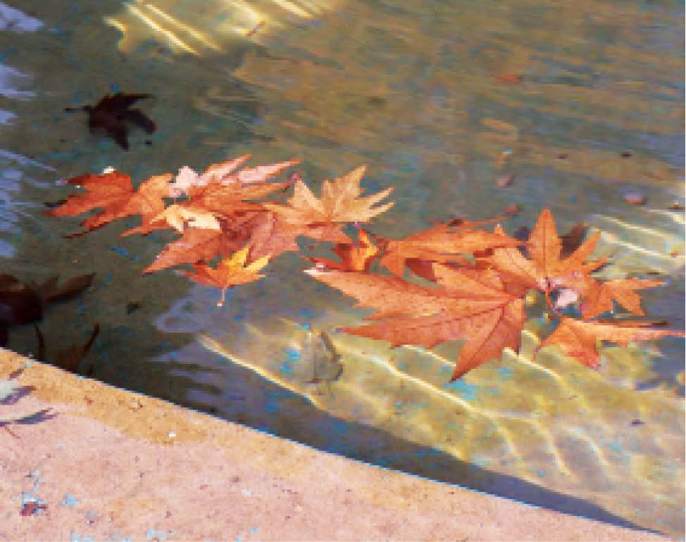 رنگین‌کمان زمینی