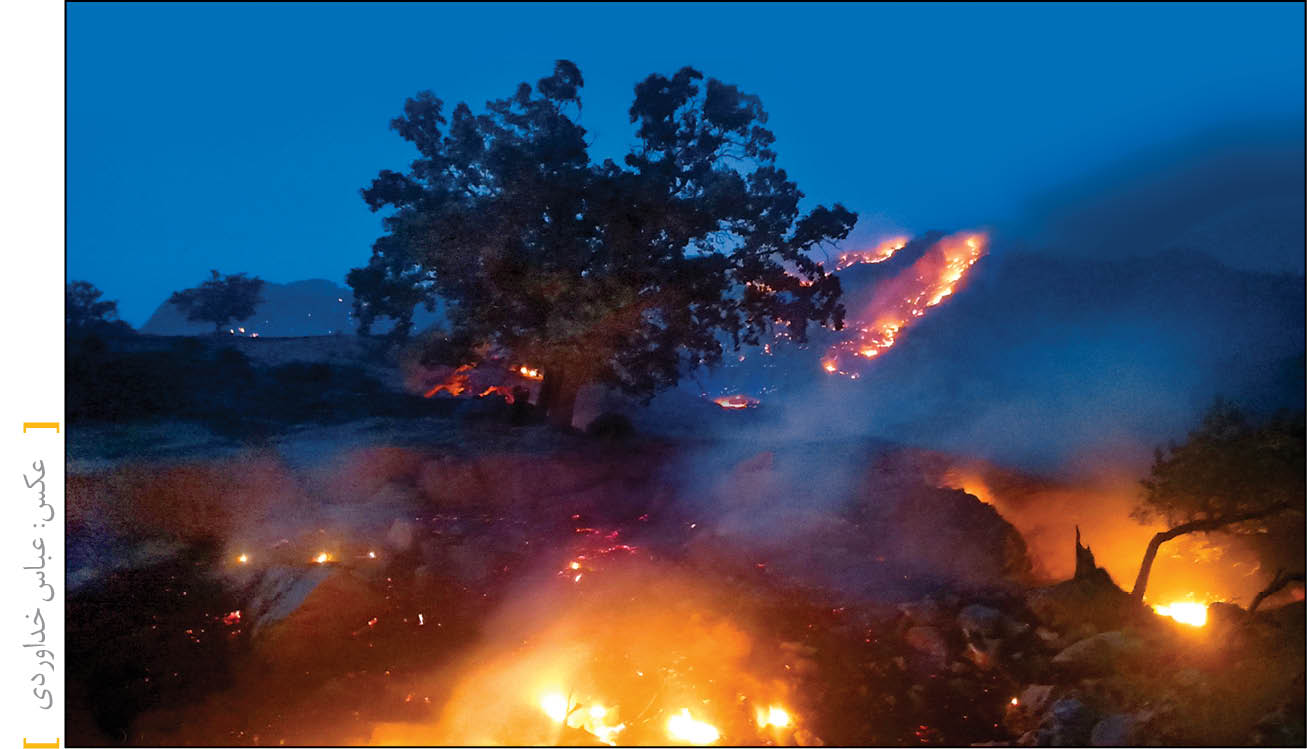 کاهش 60درصدی آتش در جنگل‌ها