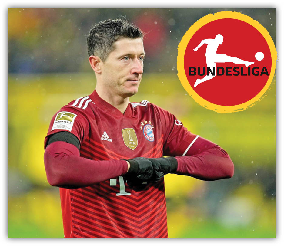 قاتل زنبورها