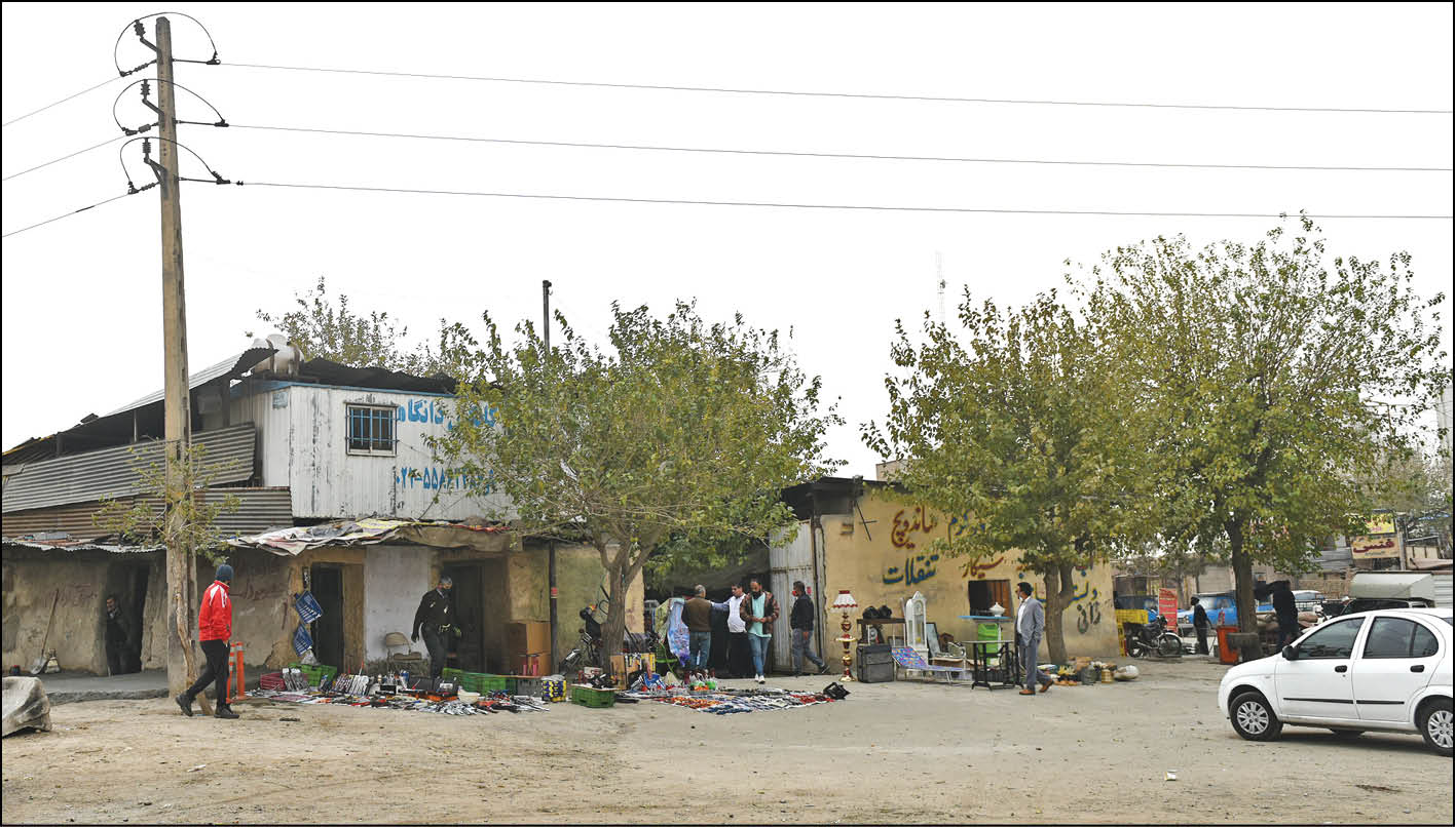 شنیده‌شدن صدای خلازیر بعد از ٤٠سال