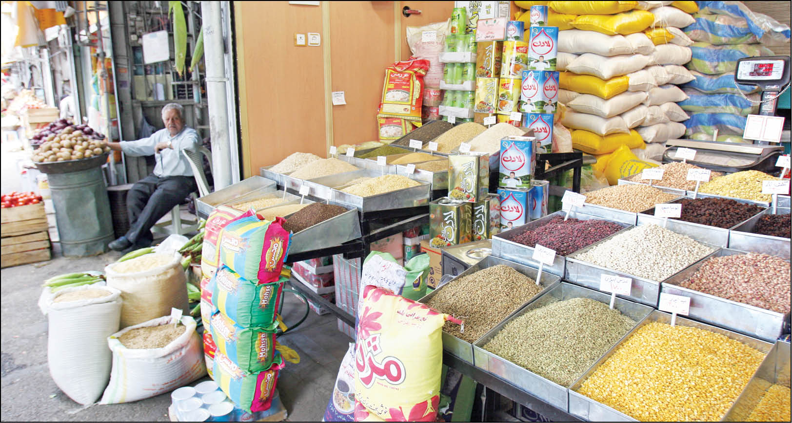 ارز ترجیحی دی‌ماه به نهاده‌های دامی و روغن نباتی تخصیص یافت