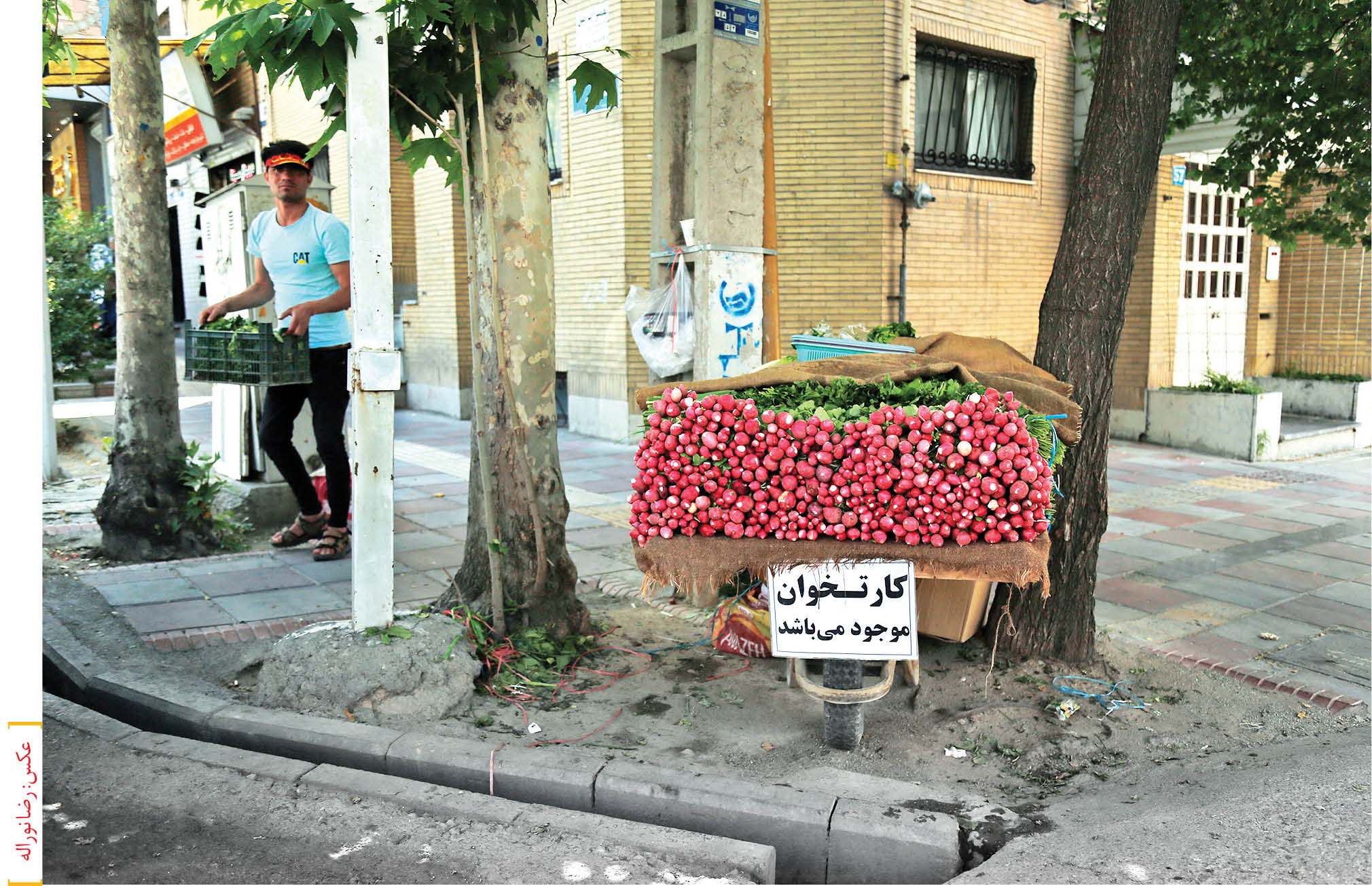 کارتخوان چگونه به کف خیابان می‌آید؟